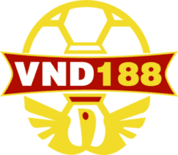 explain x wing in sudoku
